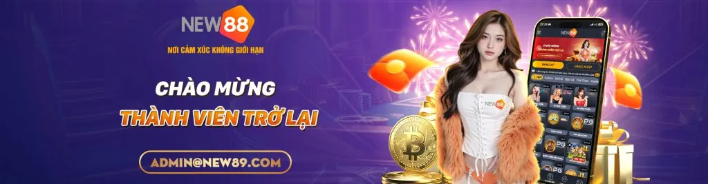 An toàn và trách nhiệm của q88 chính thức